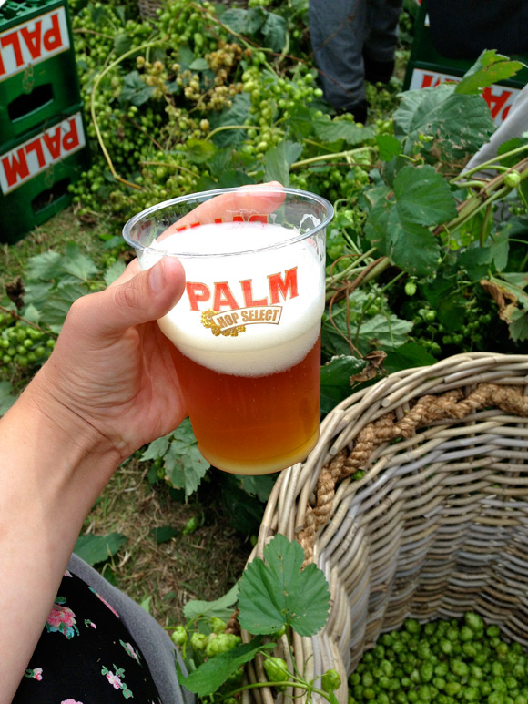 palmhopselect-biertje
